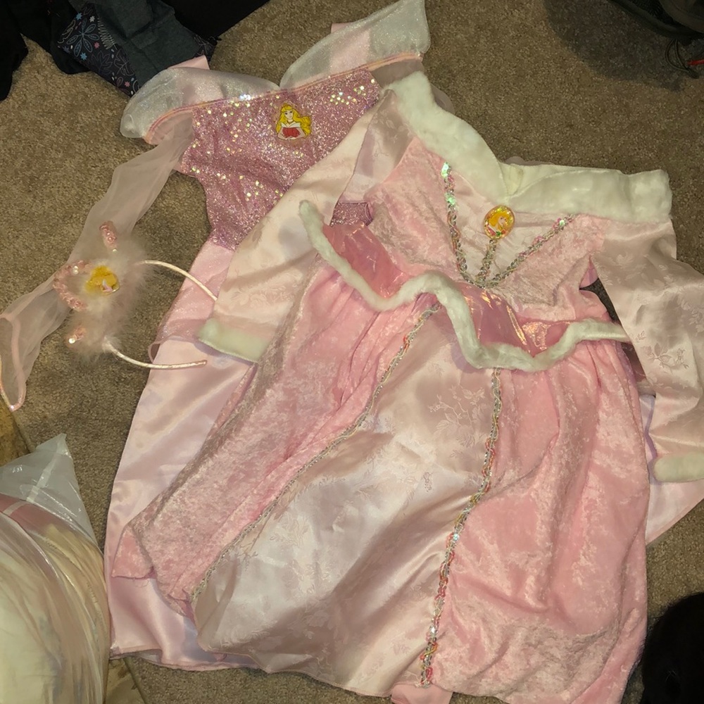 Disney Sleeping Beauty Costume